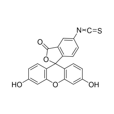 5 Fitc；异硫氰酸荧光素异构体 美仑生物