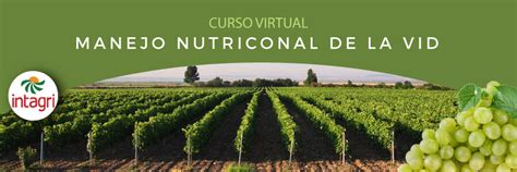 Curso Virtual Manejo Nutricional De La Vid Inicio Intagri S C