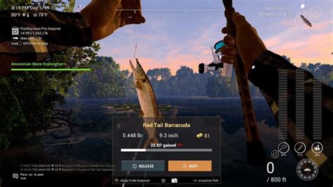 Fishing Planet Red Tail Barracuda Amazonian Maze Youtube