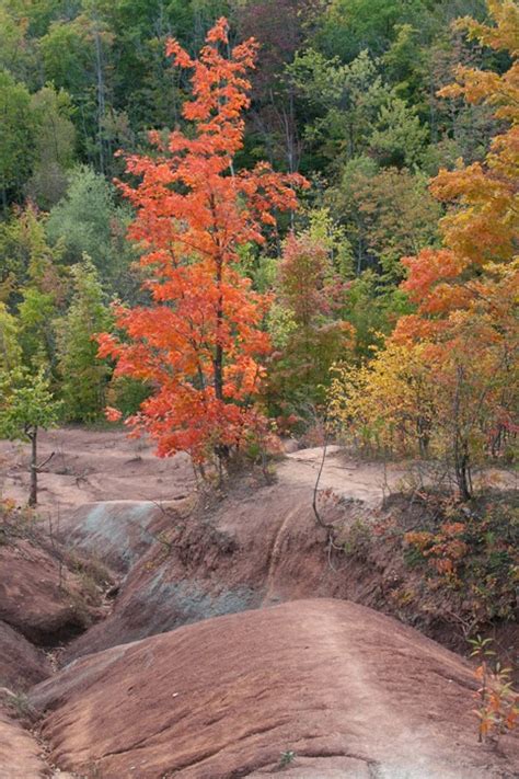 Toronto Fun Places: Fall colours at Cheltenham Badlands