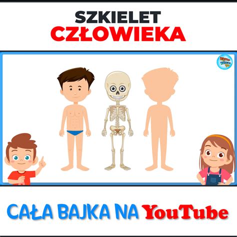 Co Kryje Cia O Cz Owieka