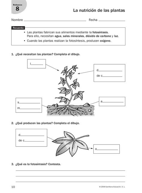 Refuerzo Y Ampliaci N Conocimiento Del Medio Hojas De Trabajo De