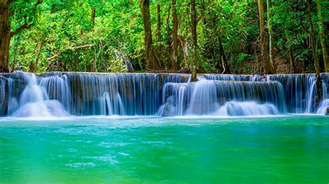 Hour Relaxing Music With Nature Sounds Waterfall K Youtube