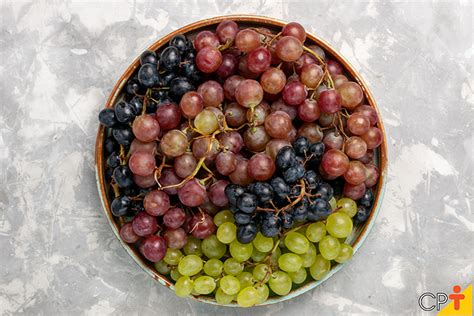 Segredos Do Vinho Tipos De Uva Utilizados Na Fabrica O Da Bebida