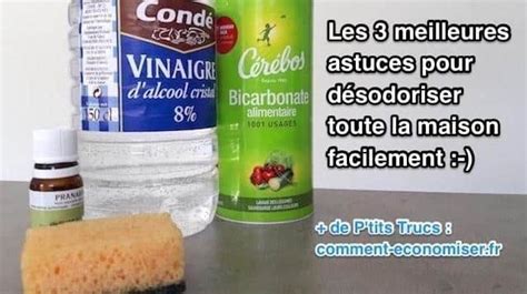 Les Meilleures Astuces Pour D Sodoriser Toute La Maison Facilement