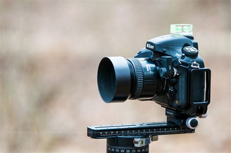 7 Tips For Photography In The Early Spring The Phoblographer