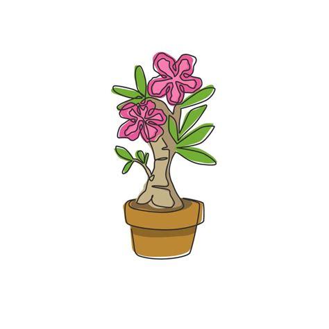 One Single Line Drawing Of Fresh Beauty Potted Adenium For Garden Logo