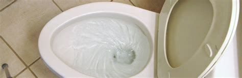 Can I flush dog poop down the toilet?