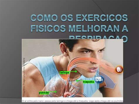 COMO OS EXERCÍCIOS FÍSICOS MELHORAM A RESPIRAÇAO PPT