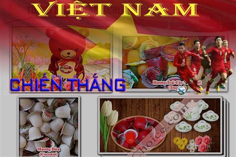 Thạch Rau Câu New Choice