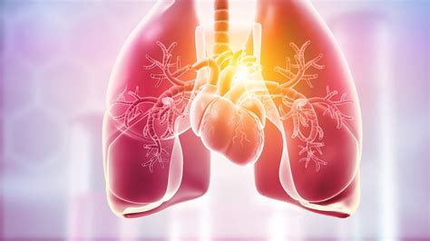 Pulmones Cuatro Remedios Naturales Para Limpiarlos Y Fortalecerlos