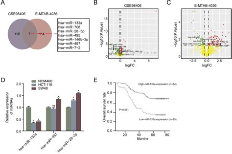 Mir 133a Expression Was Diminished In Crc Cell Lines And Tissues And