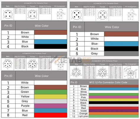 The Ultimate Guide To M12 Connector Pinout And Wiring Diagram Metabeeai