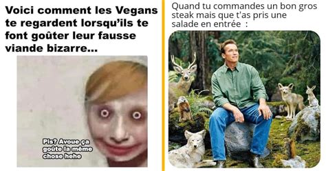 Top Des Meilleurs Memes Sur La Viande On Peut Sen Passer Ou Pas