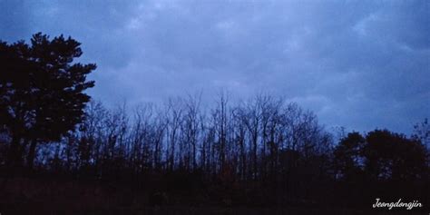 Page 11 | Hdri Night Forest Images - Free Download on Freepik