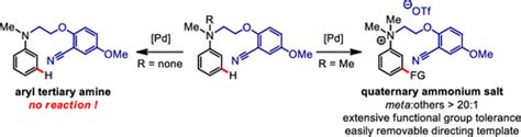 Palladiumii Catalyzed Remote Meta Ch Functionalization Of Aromatic