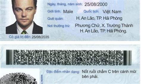 Vietnam Fake Id Card Scannable Buy Fake Id Best Scannable Fake Id