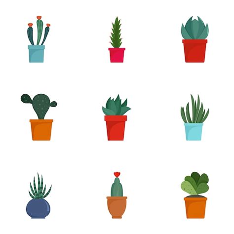 Conjunto De Iconos De Cactus Suculentas Conjunto Plano De 9 Iconos De