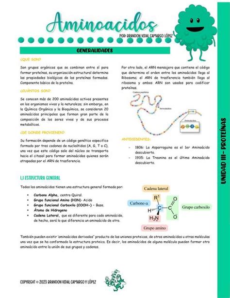 Aminoácidos Brandon Vidal López uDocz