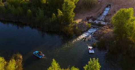 Restoration Efforts in the Colorado River Delta are Working | Audubon