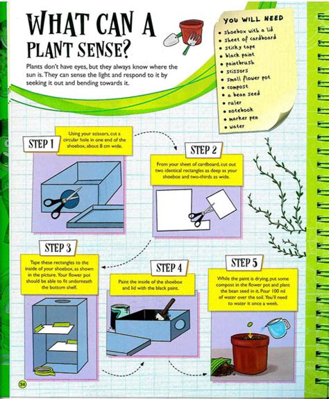 Stem Learning Diy Science Outdoors Mras Book Trading Ph