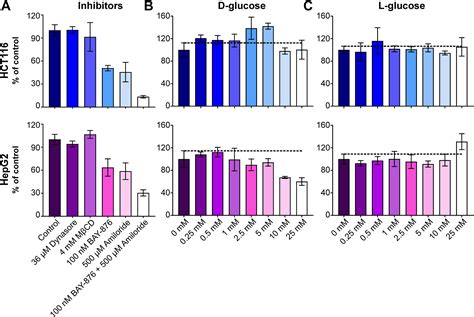 Glut Is A Highly Efficient L Fucose Transporter Journal Of