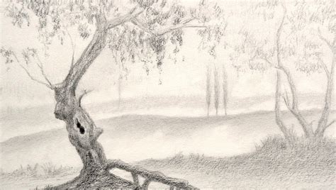 Tree Landscape Drawing at GetDrawings | Free download