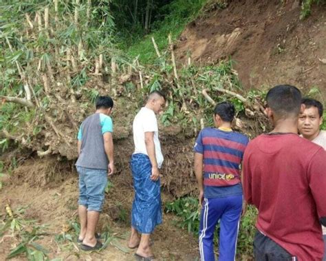 Diguyur Hujan Tebingan Tanaman Bambu Longsor Tutupi Jalan Di Sukajaya