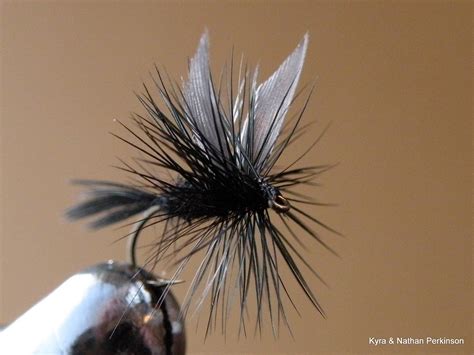 Black Gnat Flyfishing Welcome To Black Gnat Flyfishing