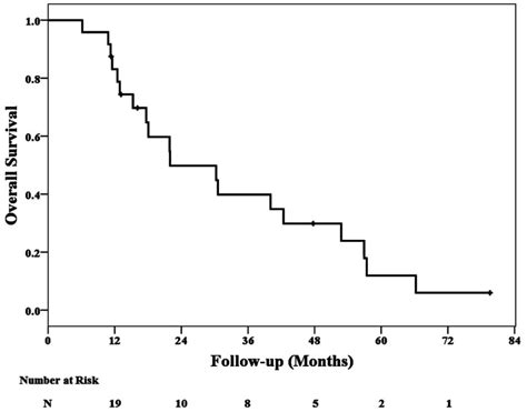 Kaplanmeier Overall Survival Plot Download Scientific Diagram