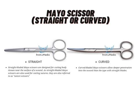 Mayo Scissor Straight Or Curved Student Quality Health Nutrition