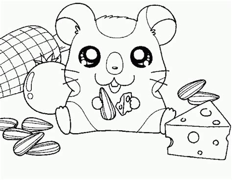 Coloriage Hamster Animaux Dessin Colorier Coloriages