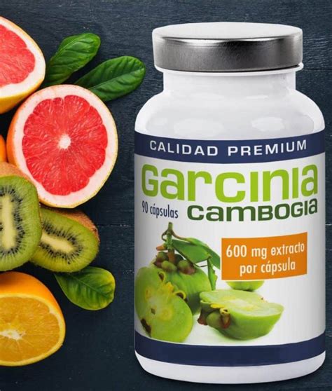 C Mo Comprar Garcinia Cambogia Gu A