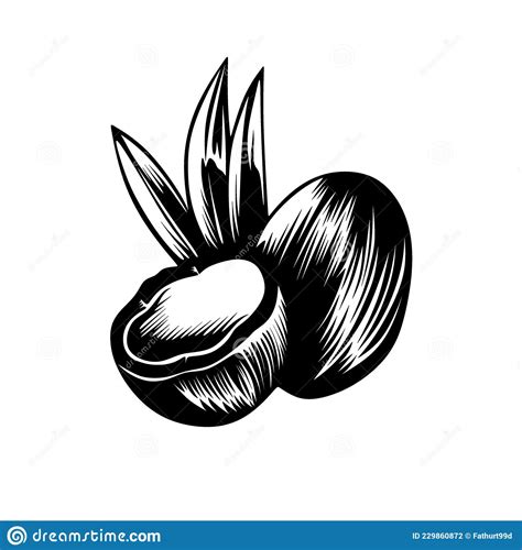 Free Download Logo Idi Vector - 58+ Koleksi Gambar