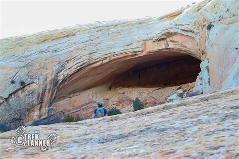 Fishmouth Cave Ruins Comb Ridge Utah The Trek Planner