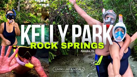 Kelly Park Rock Springs In Apopka Florida Natural Lazy River 2024