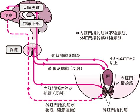 癌 便秘 看護