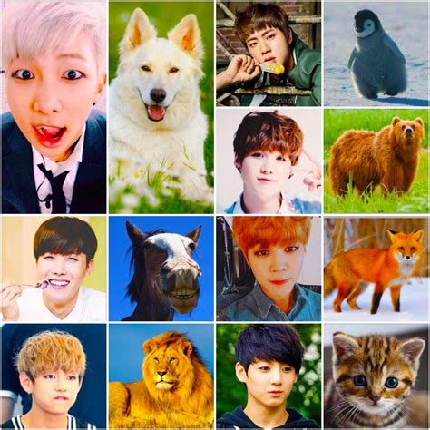 If BTS Were Animals | ARMY's Amino