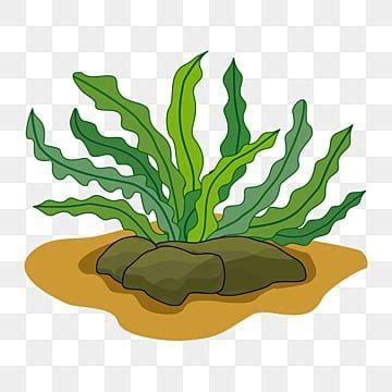 Seaweed Clipart Twisted Seaweed Clipart Stone Green Yellow Texture Of