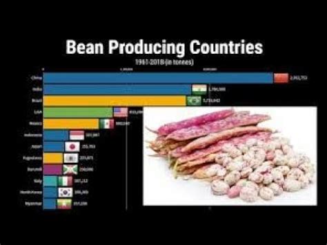 World Largest Bean Producing Countries 1960 To 2022 Largest Bean