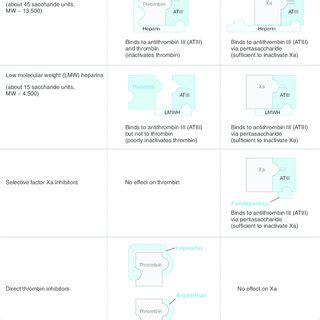 Differential effects of unfractionated heparin and low molecular weight ...