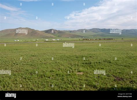 Incredible Mongolian Manchurian Grassland Stock Photo Alamy