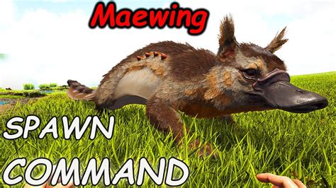 Maewing Ark Spawn Command How To Summon Maewing Ark Code Youtube