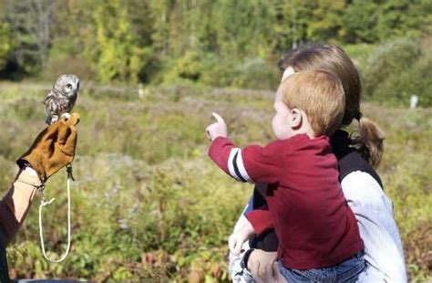 Squam Lakes Natural Science Center Holderness 2018 All You Need To