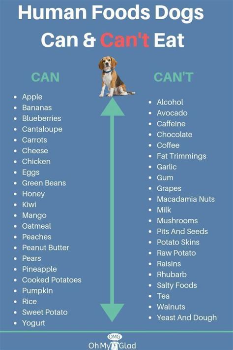 Printable List Of Human Foods Dogs Can Eat