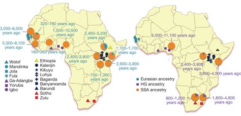 Dating And Proportion Of Eurasian And Hg Admixture Among African