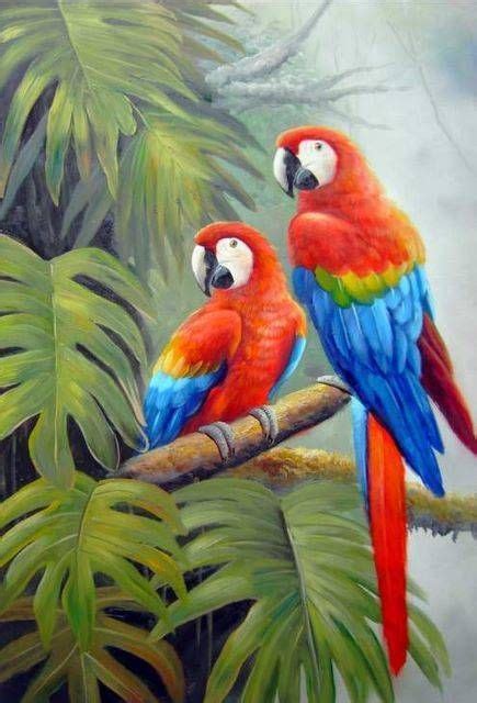 Paintings Of Parrots Google Search Painting Pinterest Arara