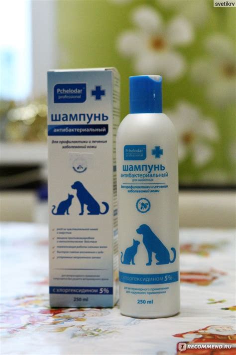 Шампунь для собак Пчелодар Антибактериальный с хлоргексидином 5% - «Наш ...