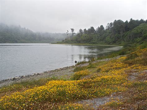 Freshwater Lagoon Humboldt Lagoons State Park California