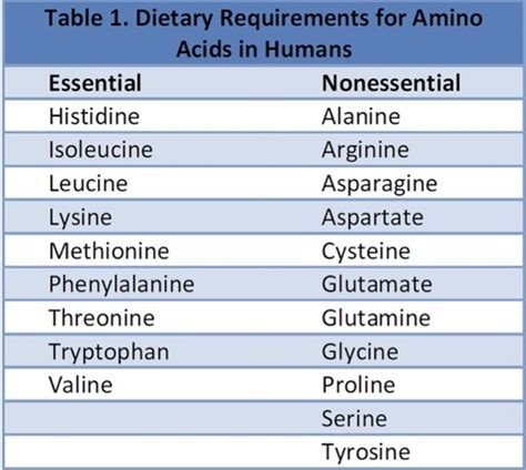 Nitrogen Metabolism Flashcards Quizlet